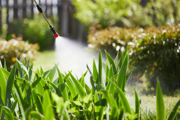 Tamper-Resistant Bait Stations for Rodents in Altoona
