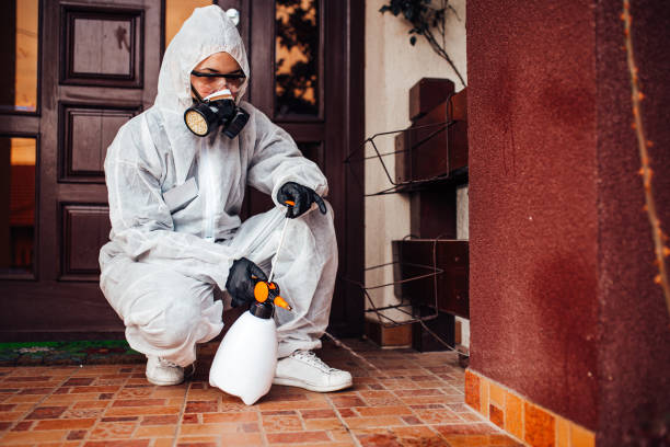 Attic and Crawl Space Rodent Treatment in Altoona