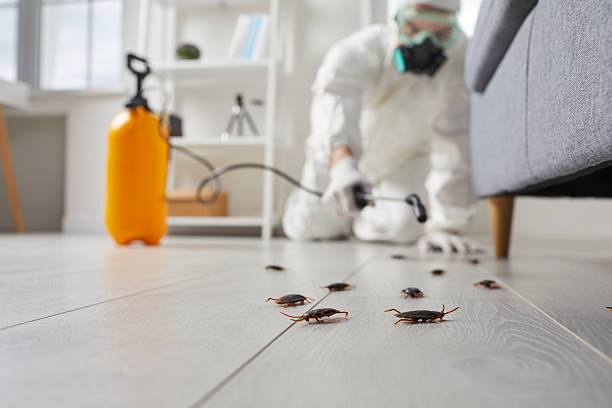 Commercial Rodent Management in Altoona
